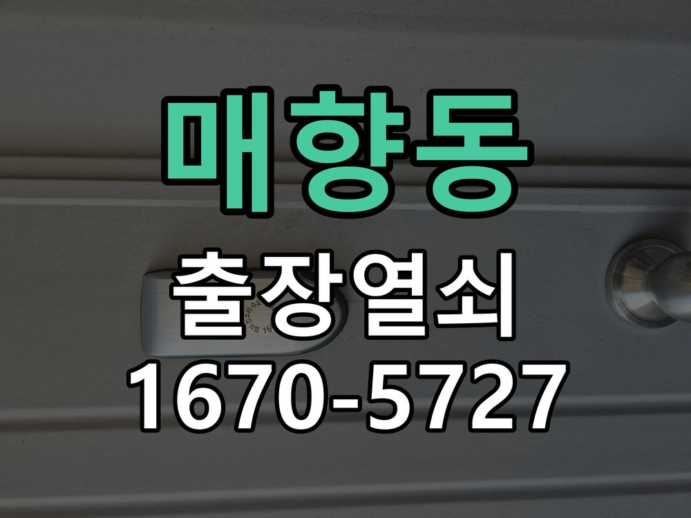 매향동 화장실문 안에서 잠김 손잡이 교체 출장 긴급 무손상 개문 및 안전 해제 기능 레버 핸들 교체 정밀 점검 및 교체