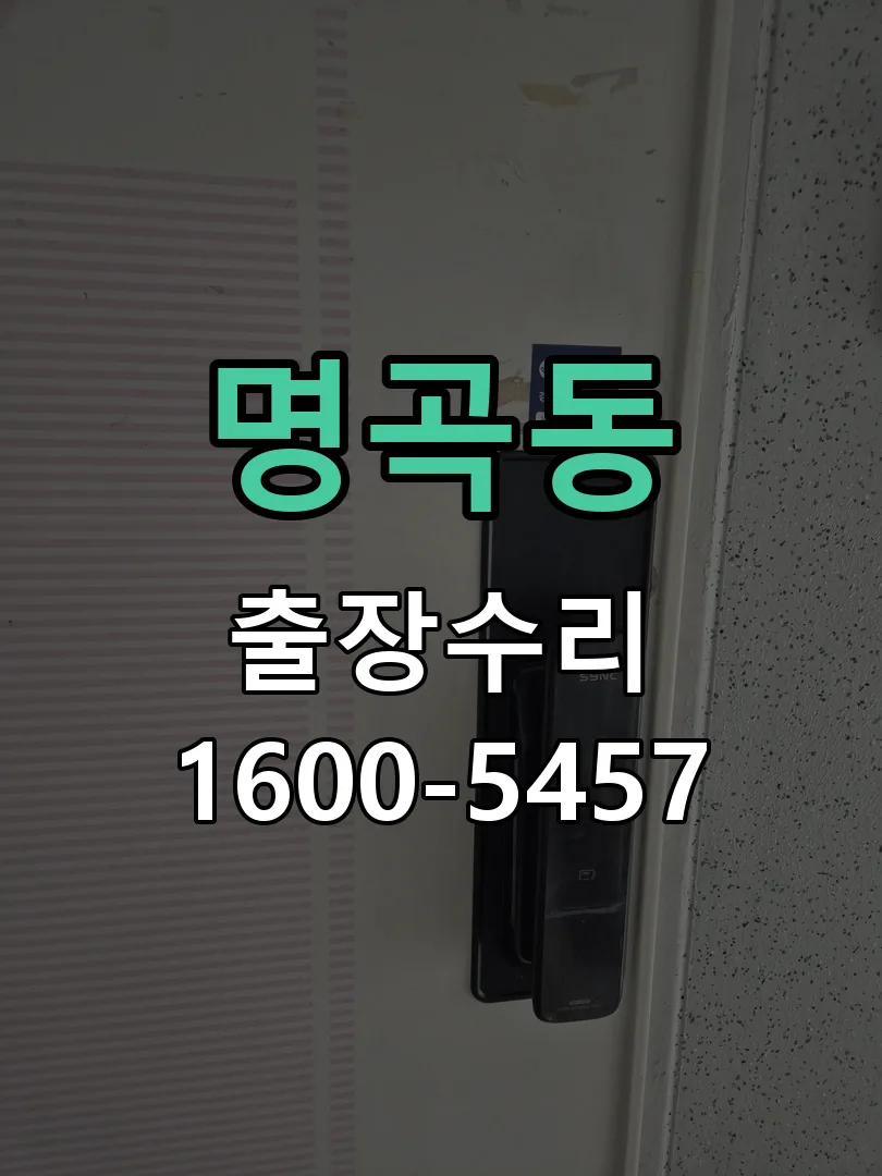 명곡동 잠금장치 동작 확인
