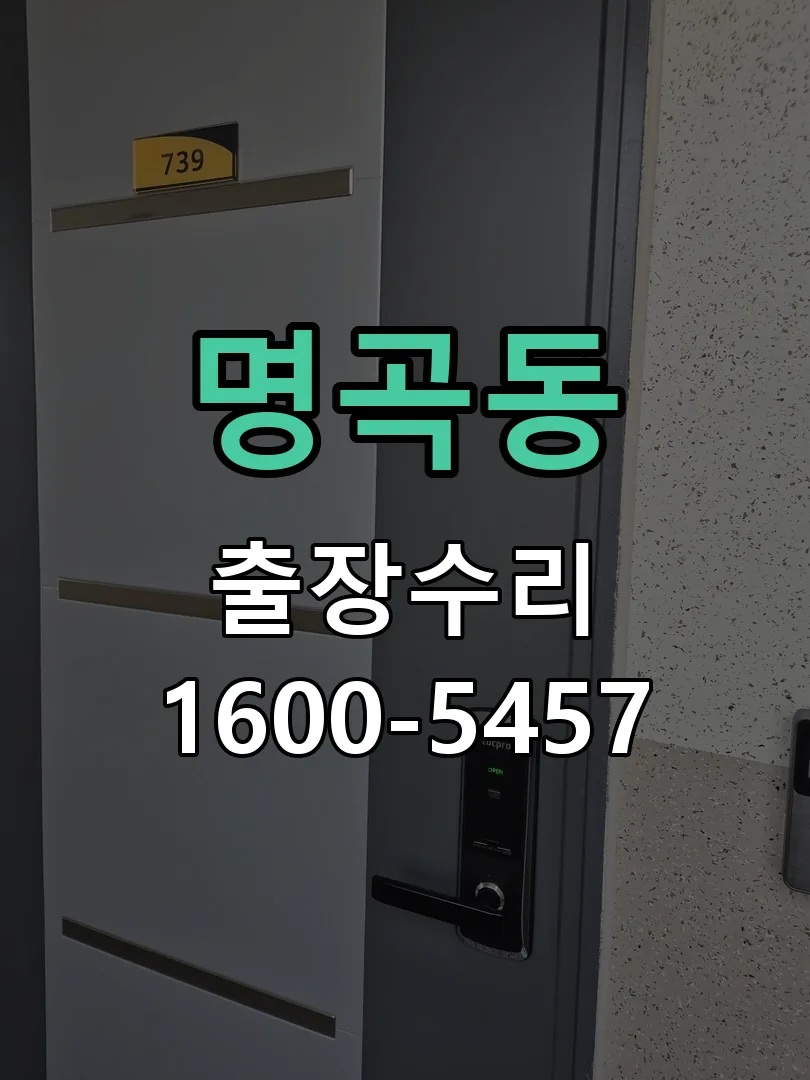 명곡동 배선·접점 정리