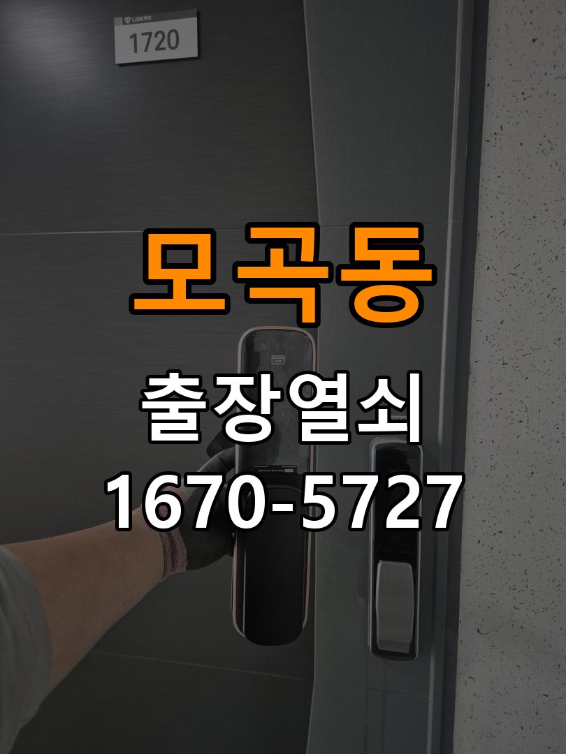 모곡동 보조키 특수키 안전고리 추가 설치 도어락 외에 추가적인 이중 보안 잠금장치 필요 현장 출장
