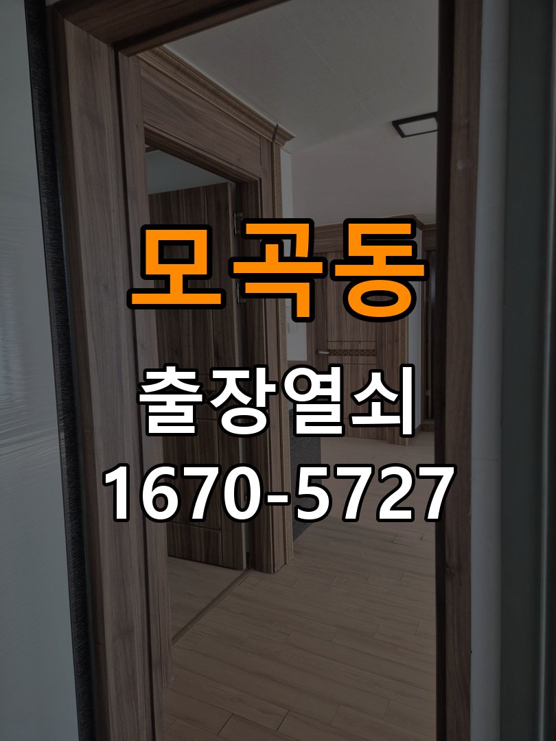 모곡동 보조키 특수키 안전고리 추가 설치 특수 핀 실린더 보조키 및 빗장형 고급 안전고리 정밀 점검 및 교체