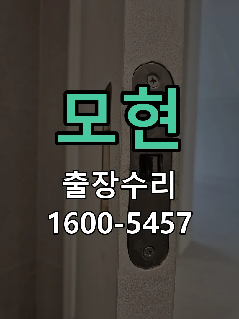 경기 도어락 열쇠 출장 수리