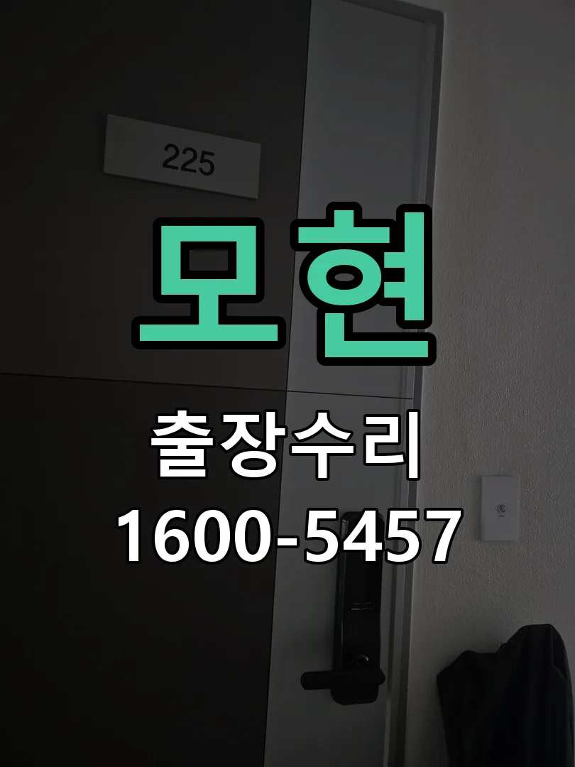 경기 도어락 열쇠 출장 수리