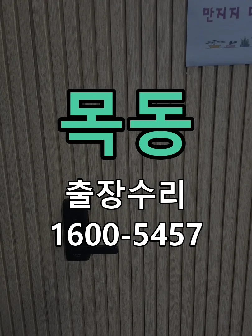 목동 배선·접점 정리