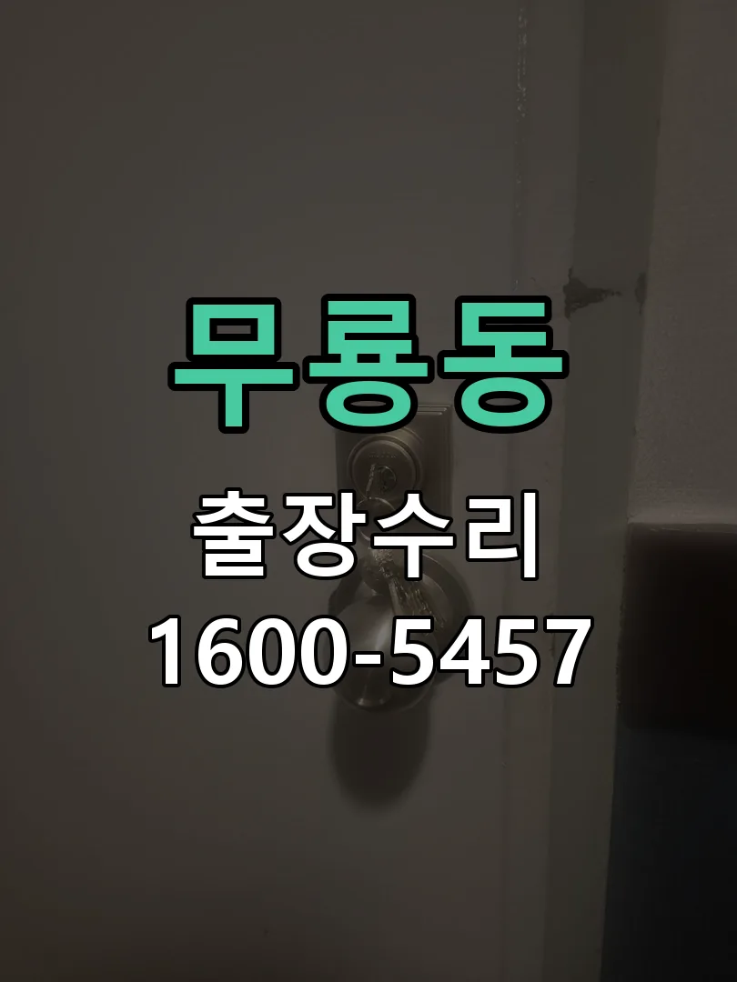무룡동 도어락 열쇠 출장 수리
