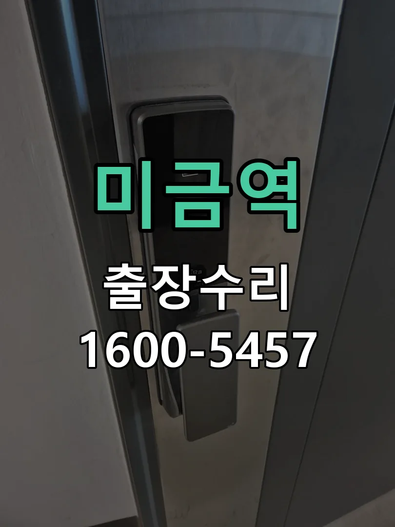 경기 도어락 열쇠 출장 수리
