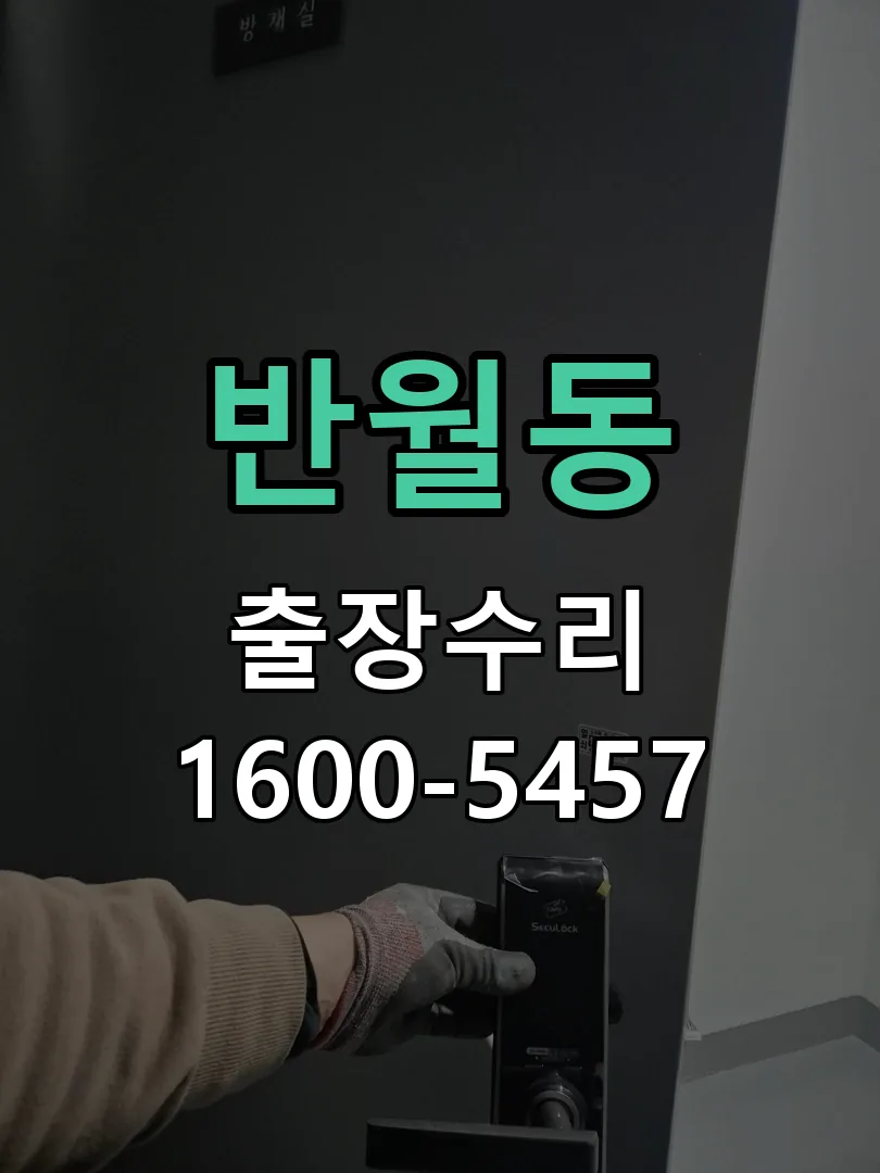 반월동 현장 도착 후 상태 확인