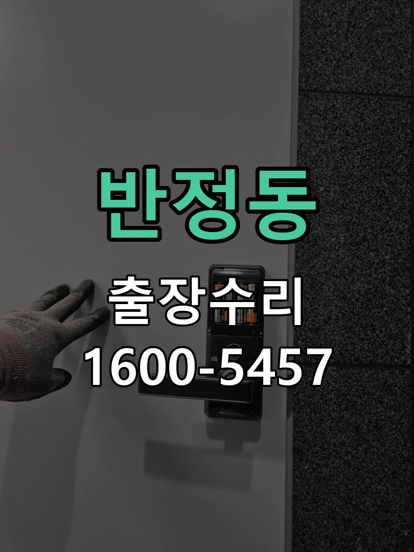반정동 잠금장치 동작 확인