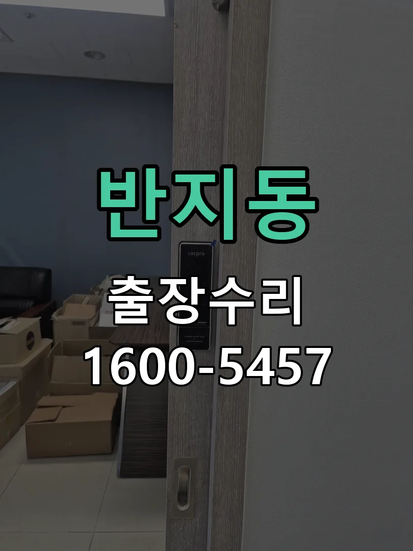 반지동 본체 분리 및 내부 점검