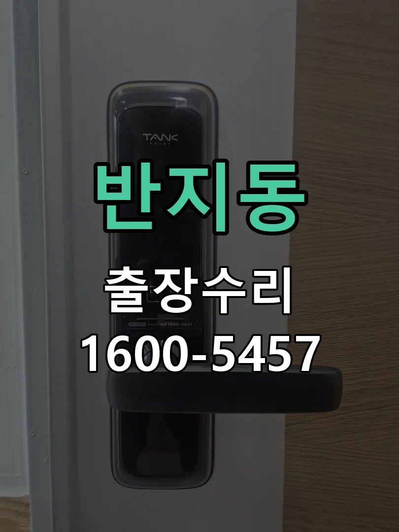 반지동 잠금장치 동작 확인