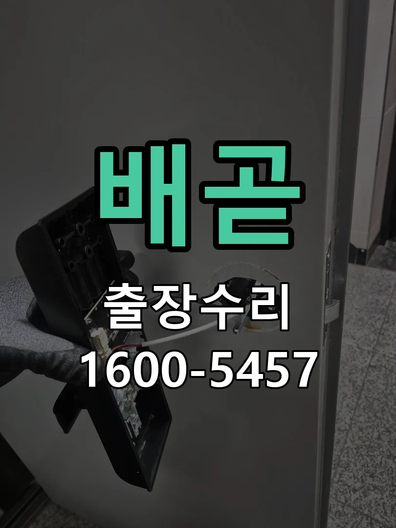 경기 배선·접점 정리