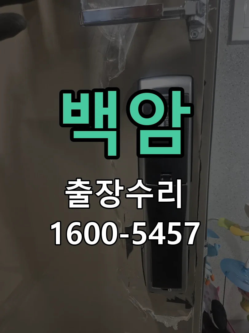 경기 배선·접점 정리