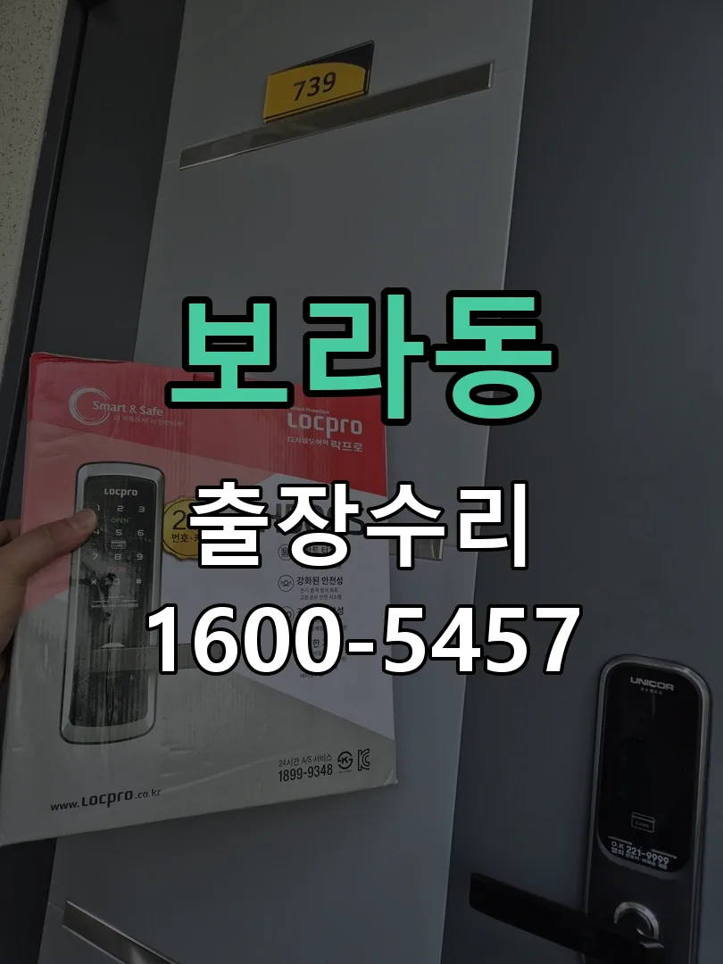 보라동 열쇠가 헛돌고 잠금이 되지 않음 잠금장치 동작 확인