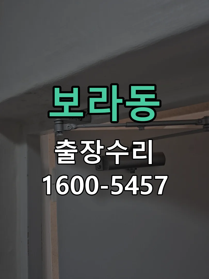 보라동 배선·접점 정리