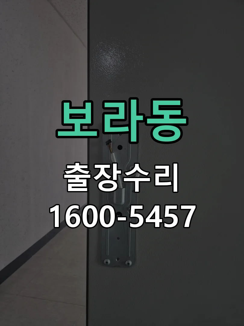 보라동 배선·접점 정리