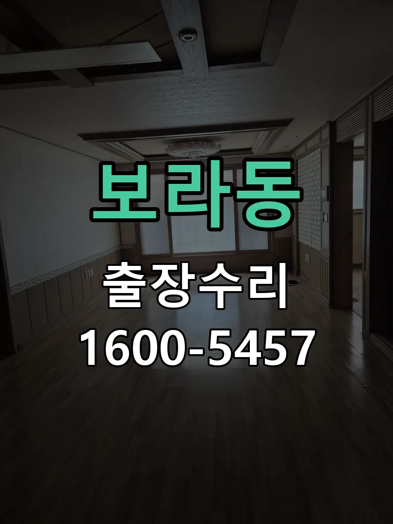 보라동 배선·접점 정리