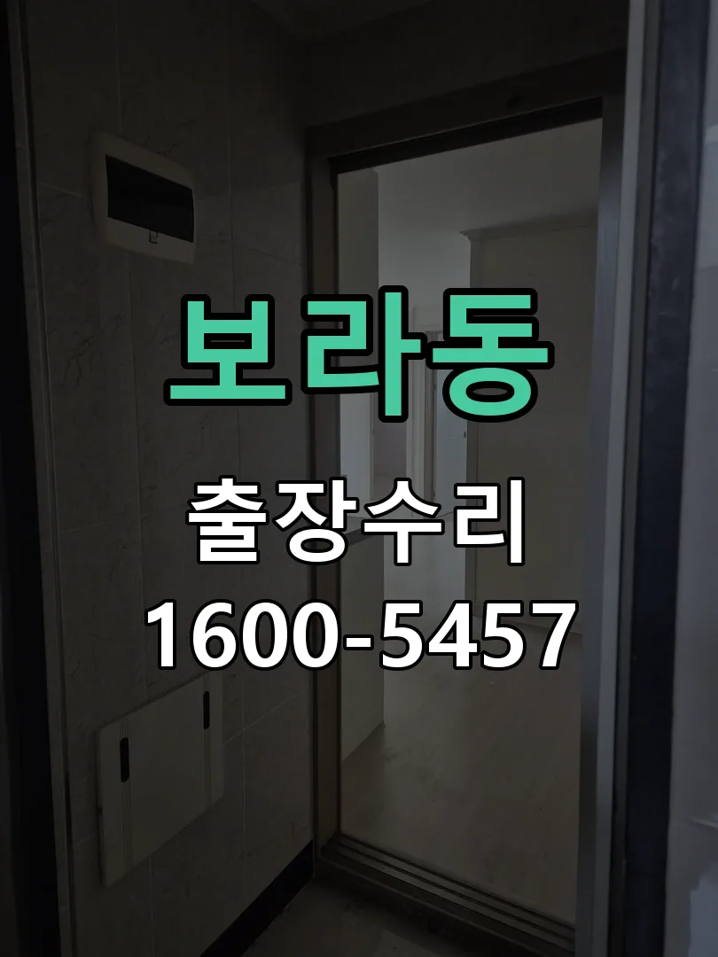 보라동 교체 작업 진행