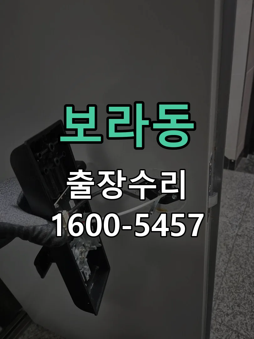 보라동 배선·접점 정리