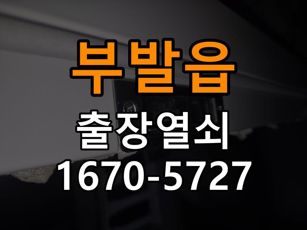 부발읍 보조키 특수키 안전고리 추가 설치 도어락 외에 추가적인 이중 보안 잠금장치 필요 현장 출장