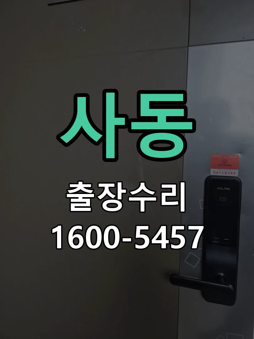 사동 배선·접점 정리