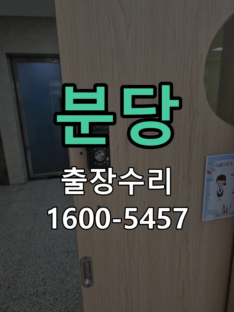 분당 배선·접점 정리