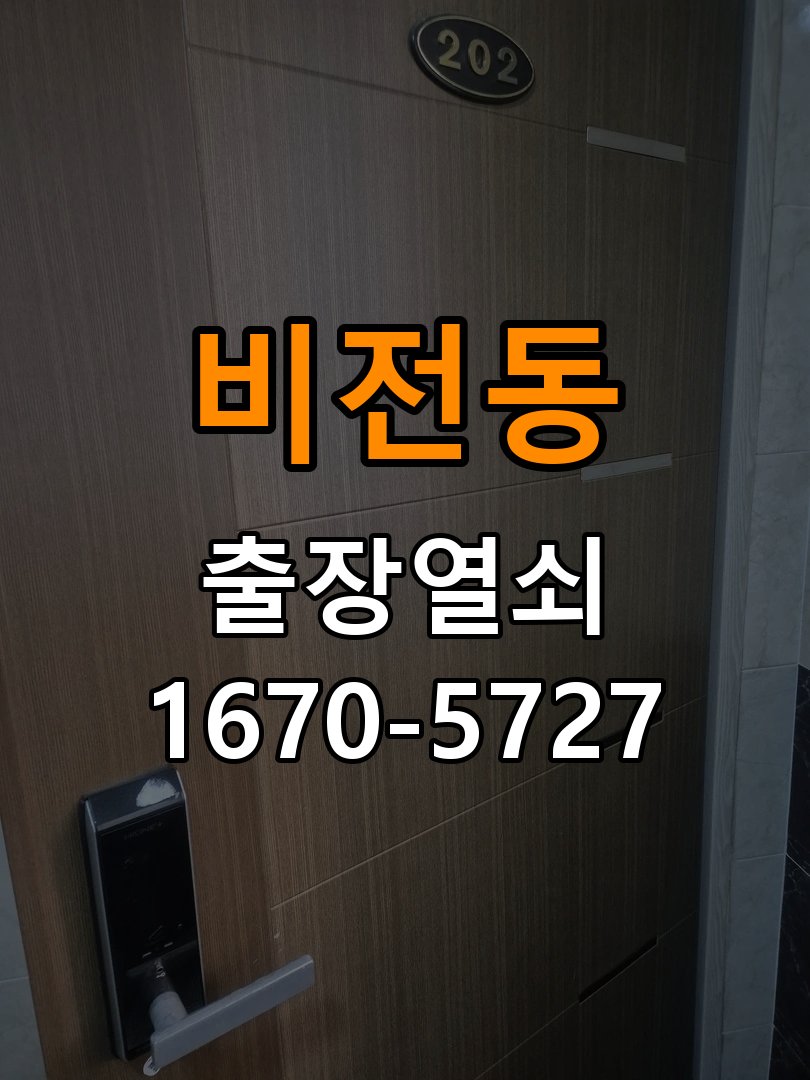비전동 현관문 보조키 열쇠 분실 키통 교체 특수 딤플키 실린더 보조키 교체 정밀 점검 및 교체