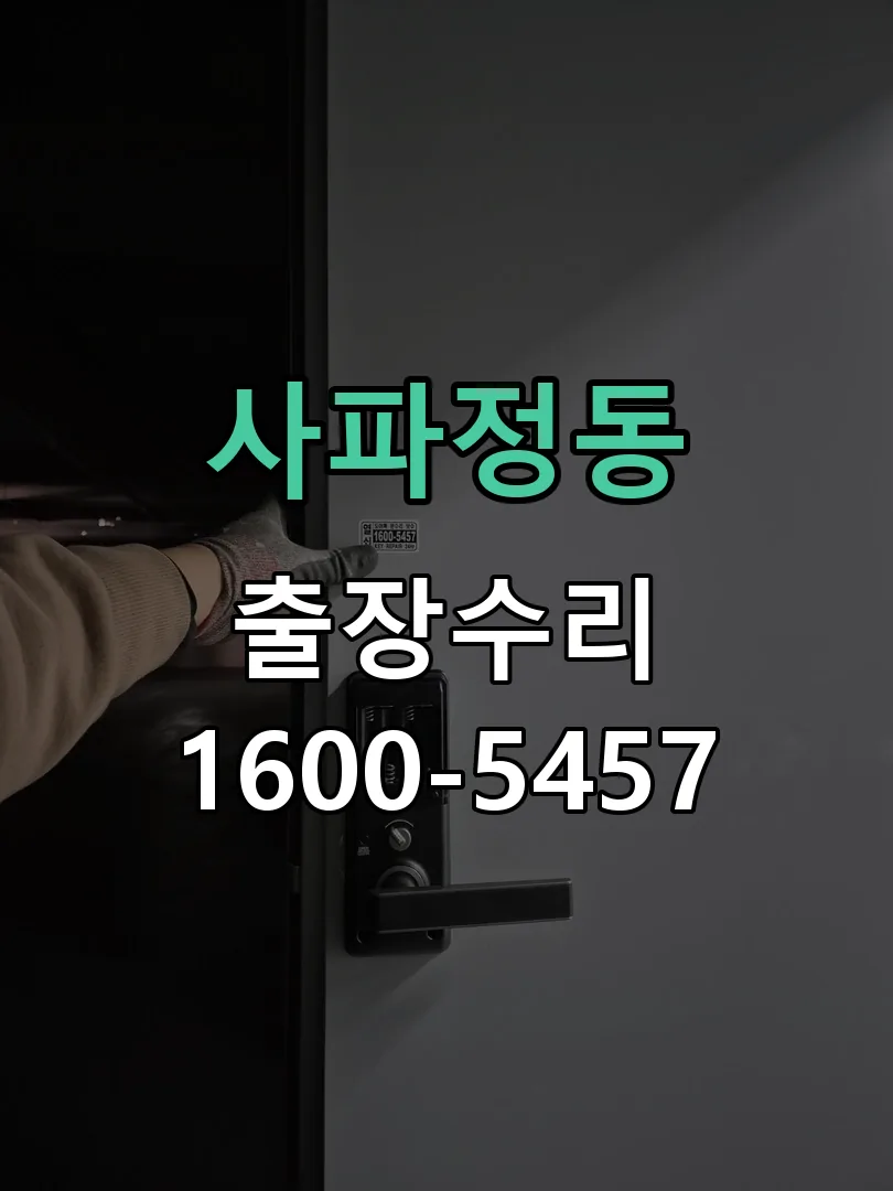 사파정동 배선·접점 정리