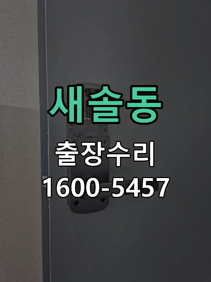 새솔동 도어락 열쇠 출장 수리