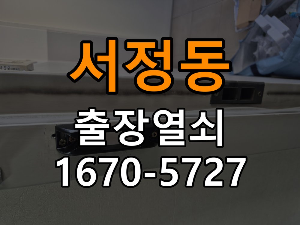 서정동 보조키 특수키 안전고리 추가 설치 특수 핀 실린더 보조키 및 빗장형 고급 안전고리 정밀 점검 및 교체