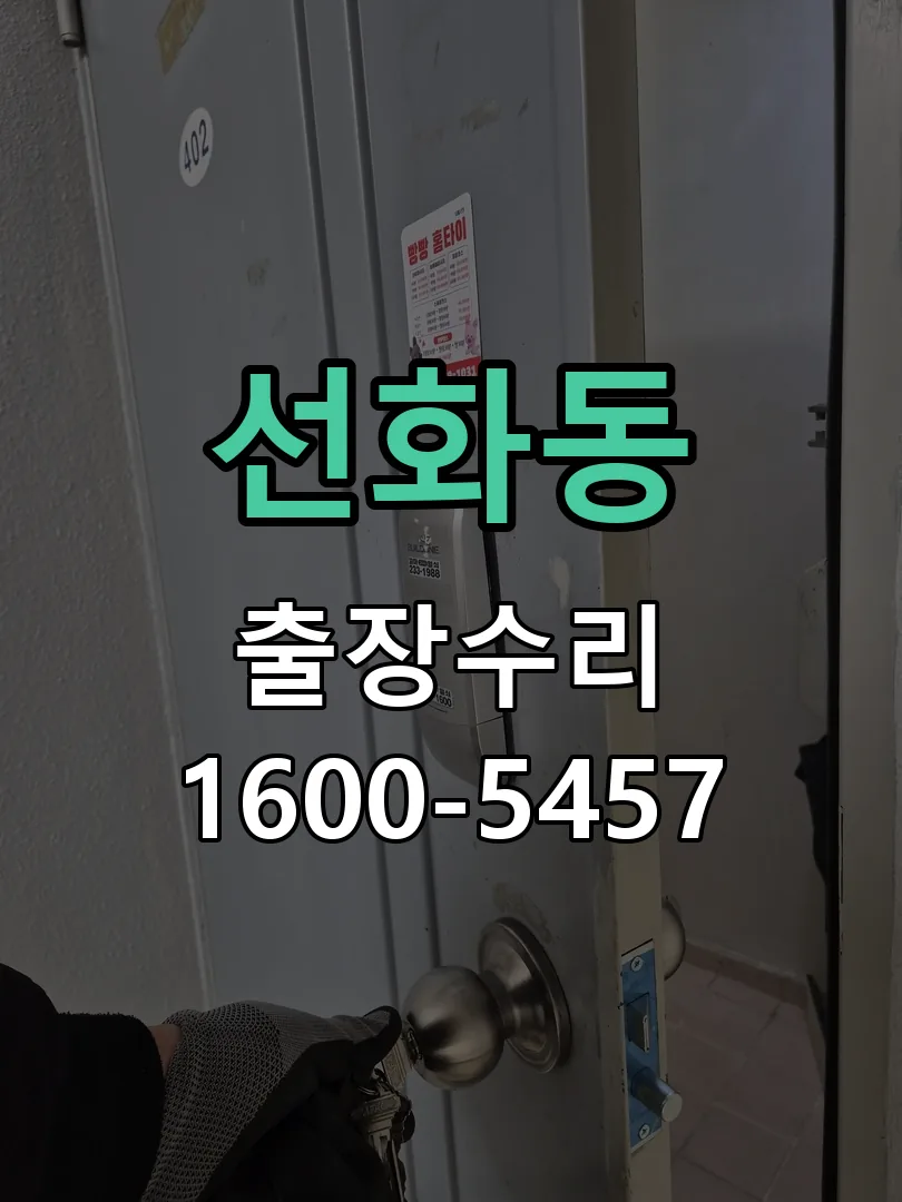 선화동 배선·접점 정리