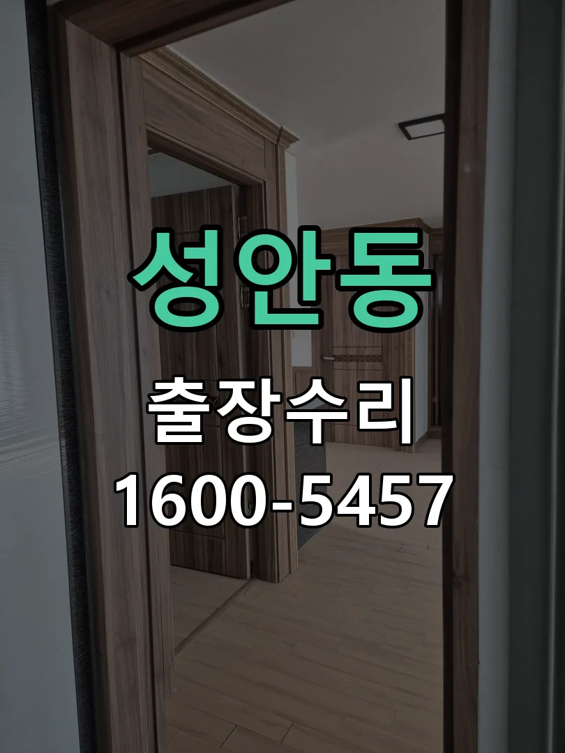 성안동 도어락 열쇠 출장 수리