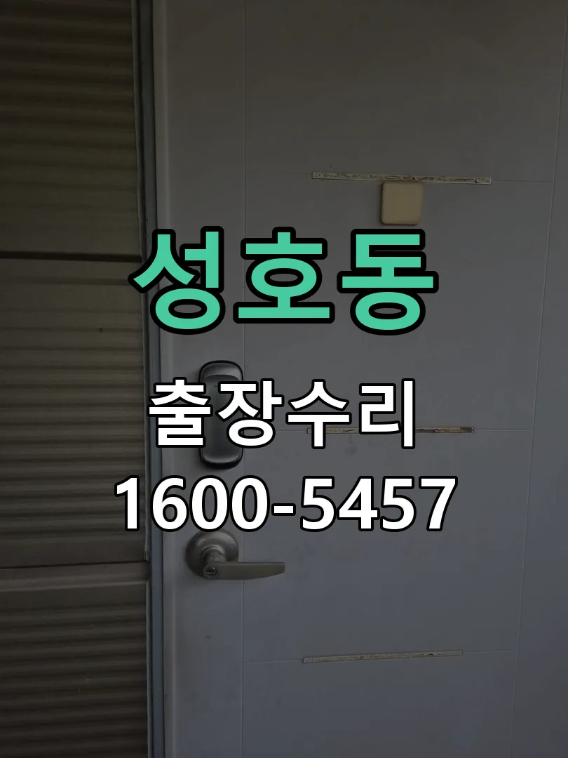 성호동 배선·접점 정리