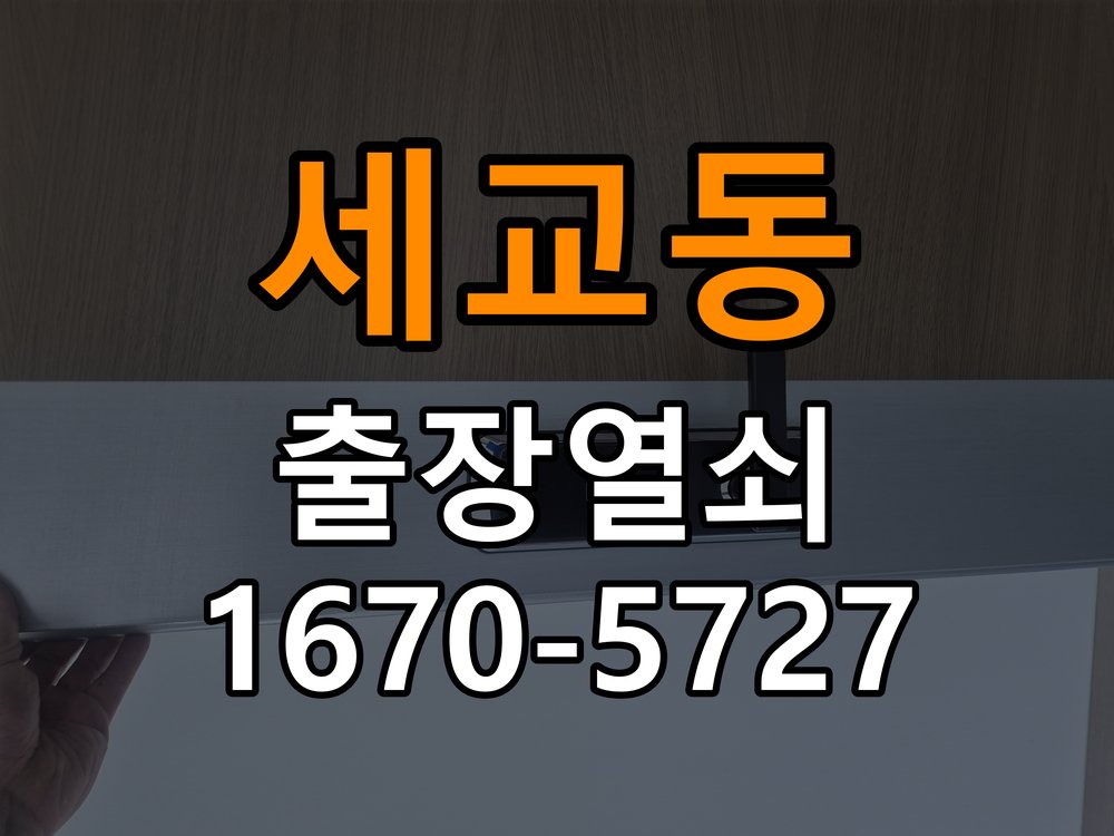 세교동 보조키 특수키 안전고리 추가 설치 도어락 외에 추가적인 이중 보안 잠금장치 필요 현장 출장