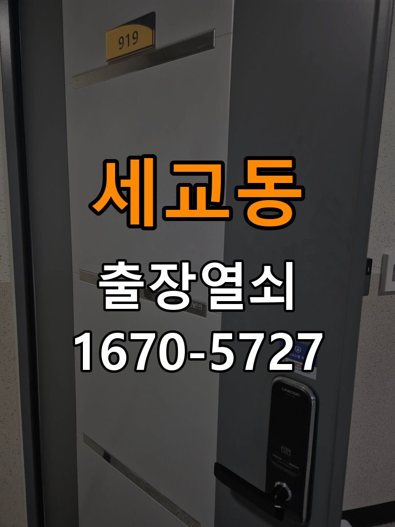 세교동 보조키 특수키 안전고리 추가 설치 특수 핀 실린더 보조키 및 빗장형 고급 안전고리 정밀 점검 및 교체