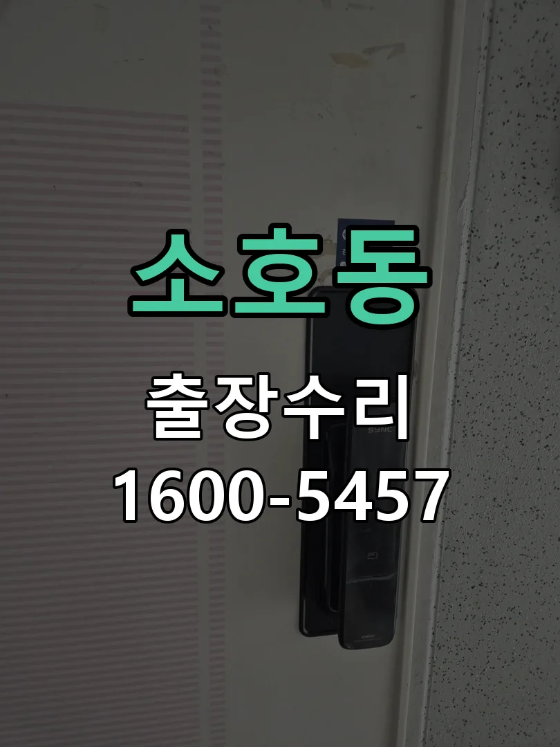소호동 현장 도착 후 상태 확인