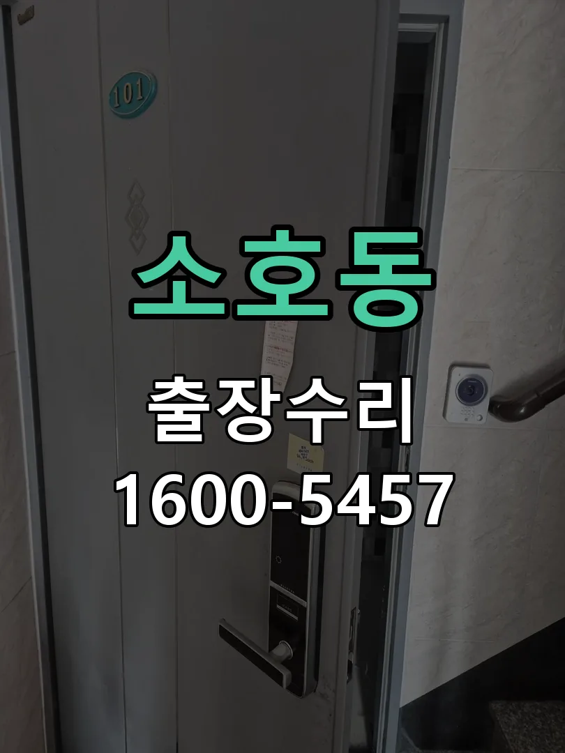 소호동 배선·접점 정리