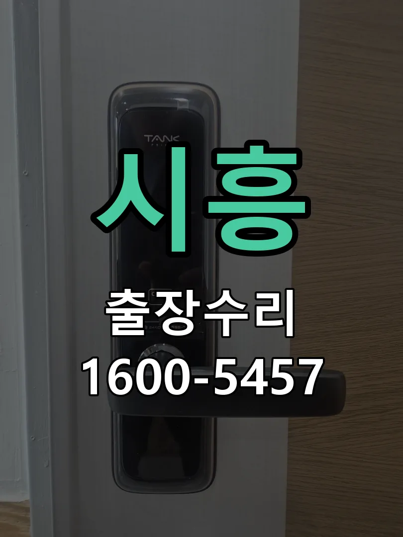 시흥 배선·접점 정리