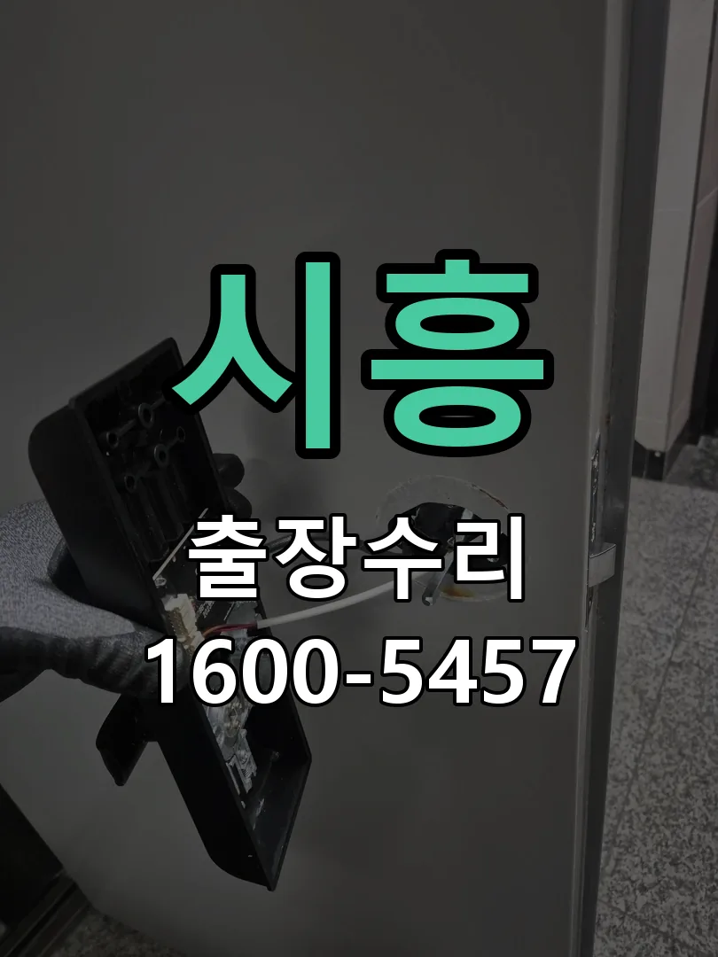 시흥 배선·접점 정리