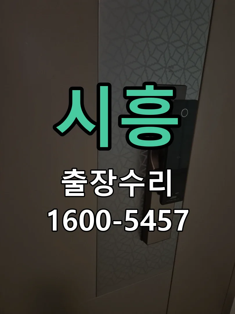 시흥 잠금장치 동작 확인