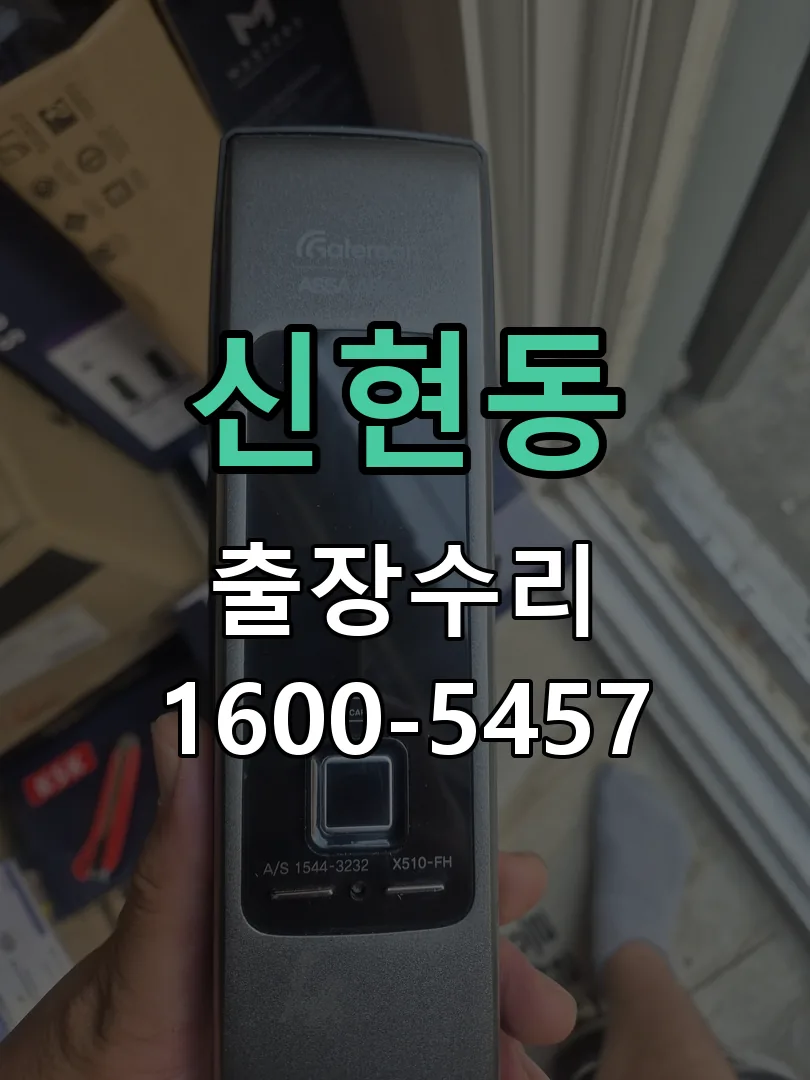신현동 배선·접점 정리