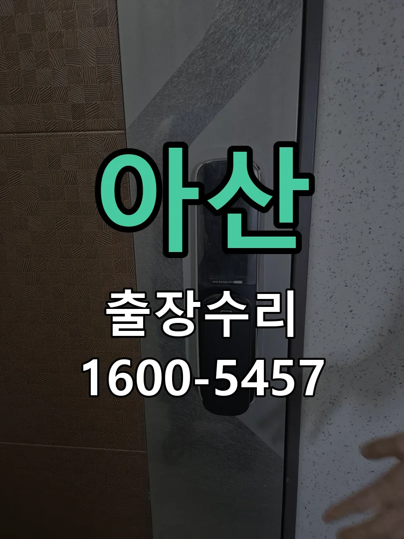 아산 잠금장치 동작 확인