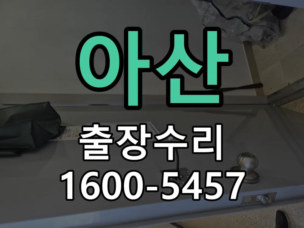 아산 잠금장치 동작 확인