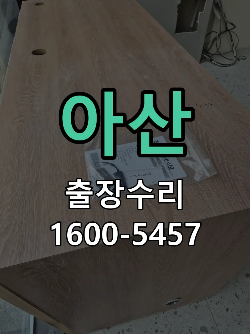 아산 잠금장치 동작 확인