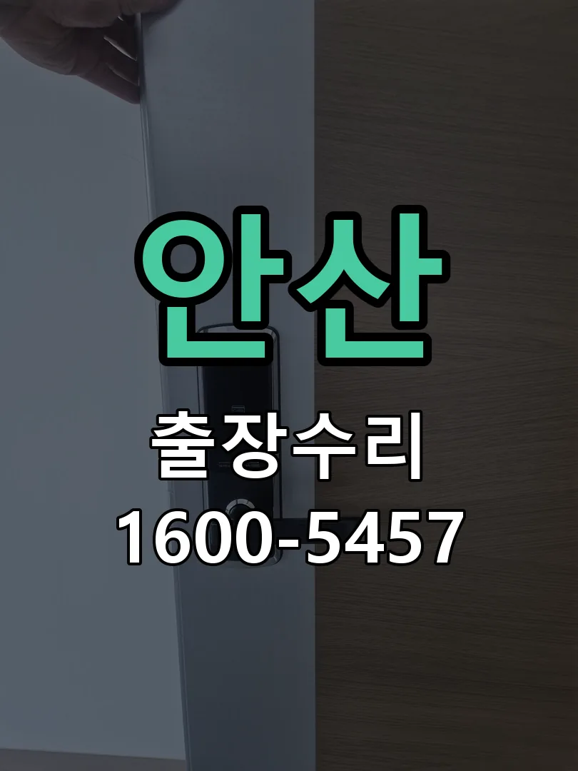 안산 도어락 열쇠 출장 수리