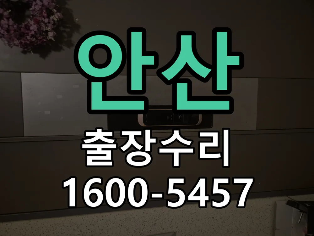 안산 도어락 열쇠 출장 수리