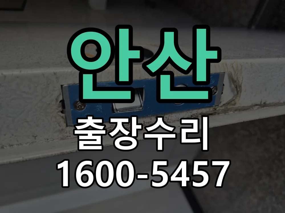 안산 배선·접점 정리