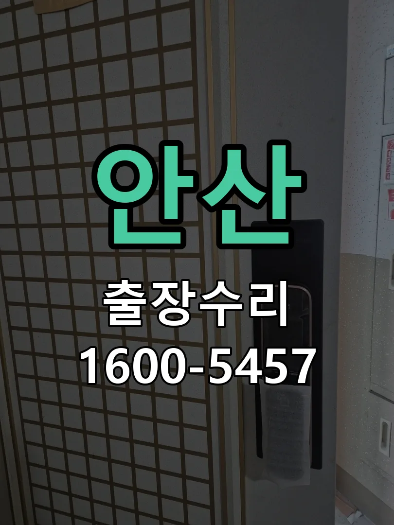 안산 잠금장치 동작 확인