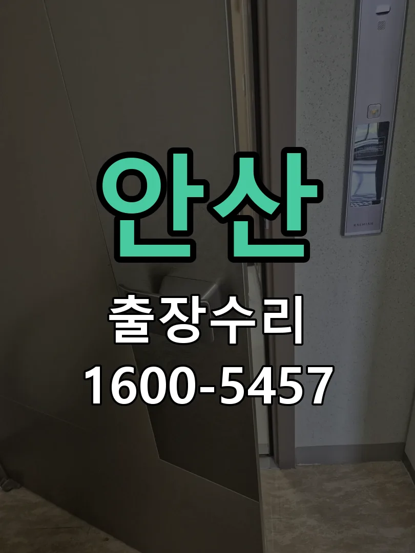 안산 배선·접점 정리