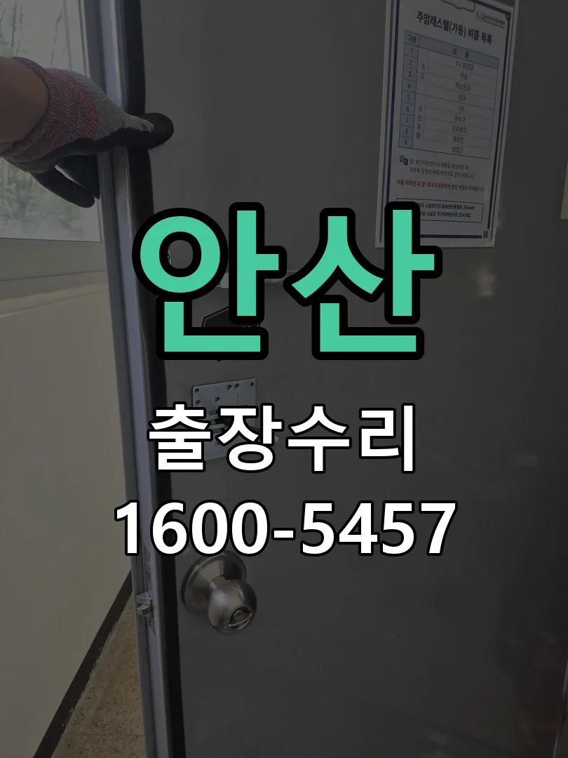 안산 교체 작업 진행