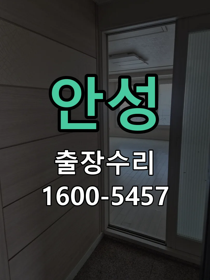 안성 잠금장치 동작 확인